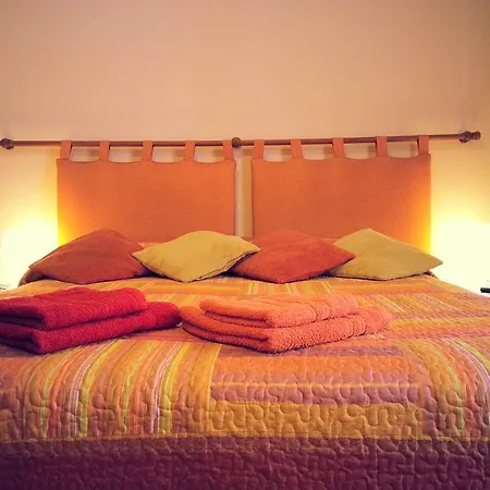 B&B Sunflower-2